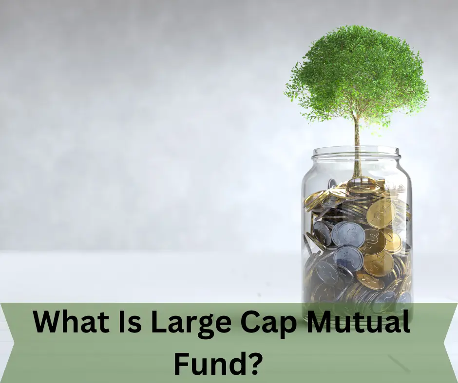 What Is Large Cap Mutual Fund?